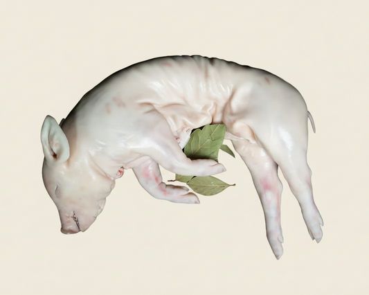 Cochinillo Lechal fresco